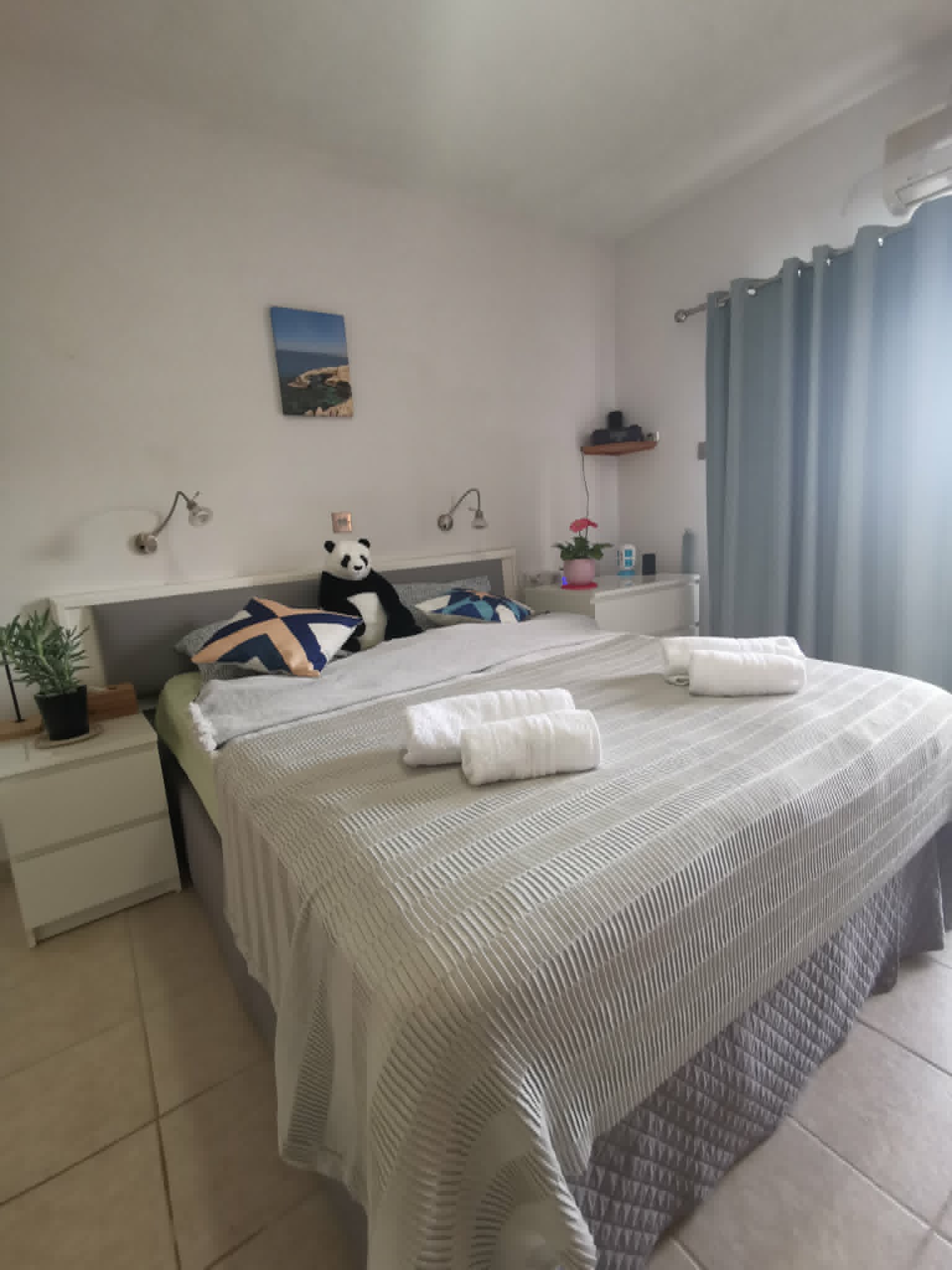 Polyxenia 4 Kép 3